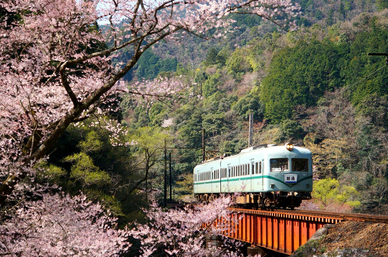 f:id:jal787ksk:20160326220523j:image f:id:jal787ksk:20160326220523j:image