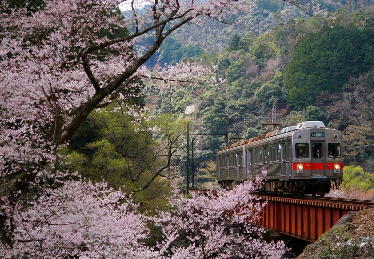 f:id:jal787ksk:20160326220542j:image f:id:jal787ksk:20160326220542j:image