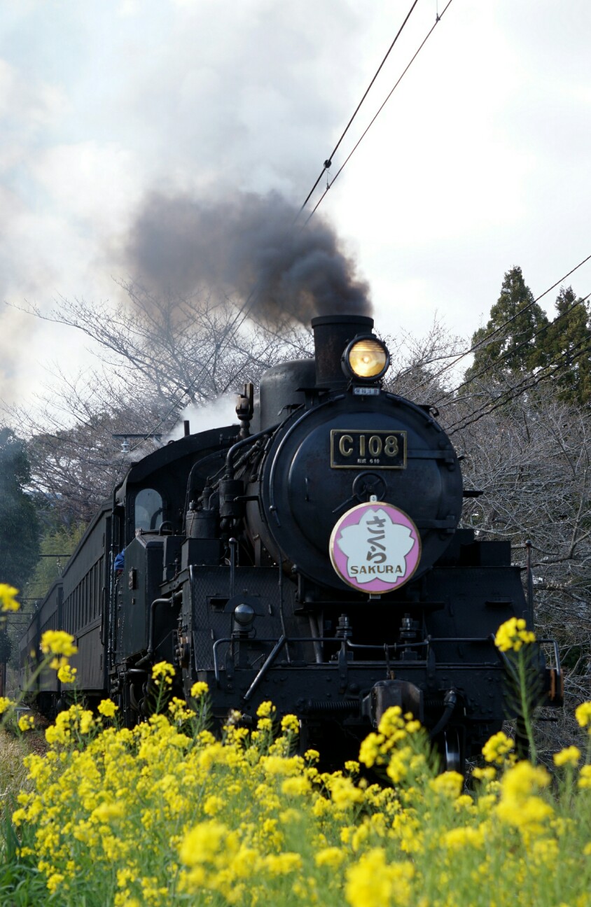 f:id:jal787ksk:20160326220606j:image f:id:jal787ksk:20160326220606j:image