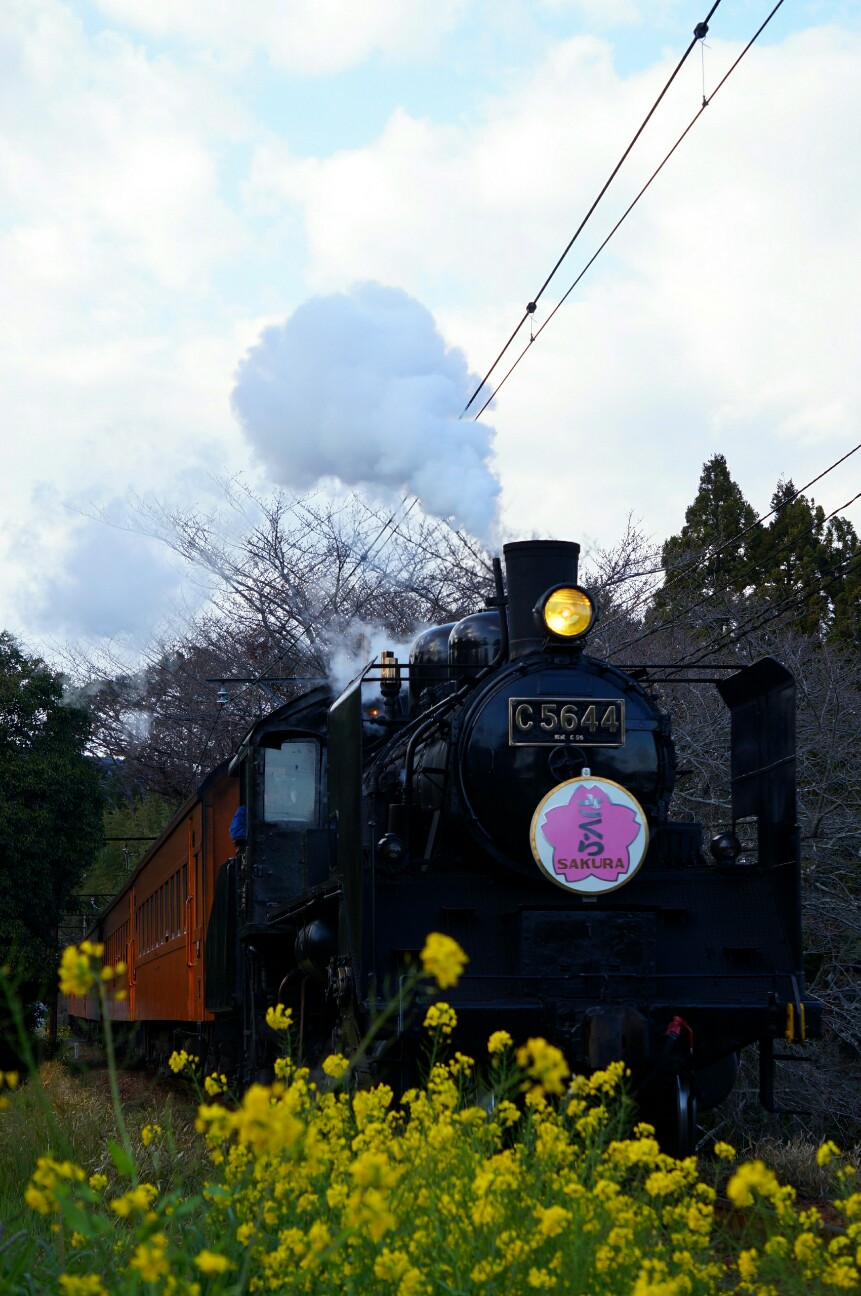 f:id:jal787ksk:20160326220621j:image f:id:jal787ksk:20160326220621j:image
