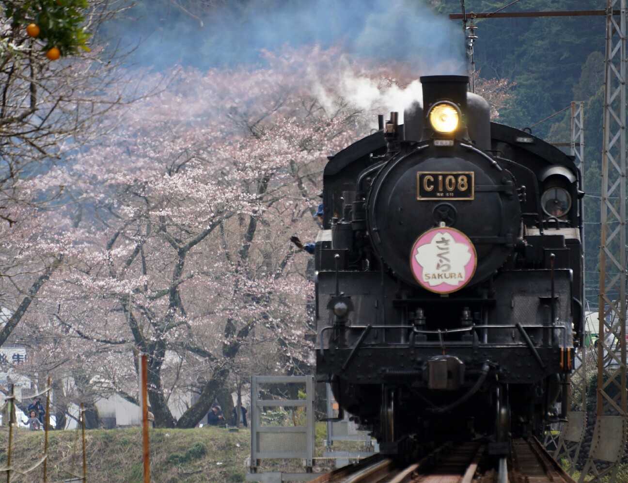 f:id:jal787ksk:20160330214616j:image f:id:jal787ksk:20160330214616j:image
