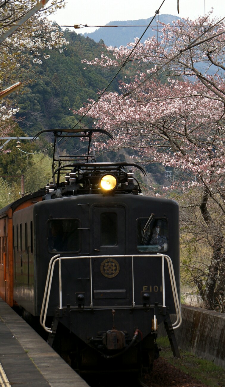 f:id:jal787ksk:20160330214640j:image f:id:jal787ksk:20160330214640j:image