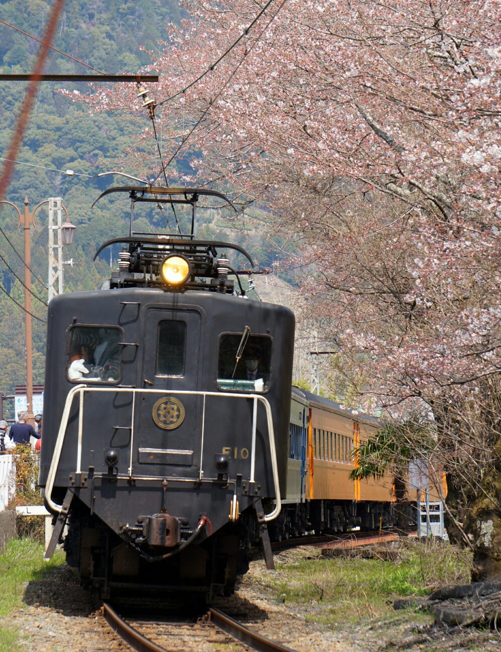 f:id:jal787ksk:20160331214039j:image f:id:jal787ksk:20160331214039j:image