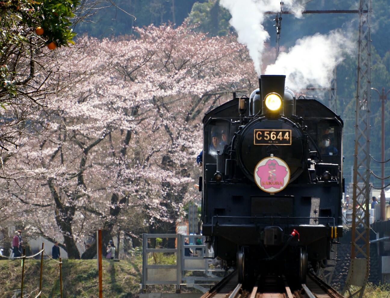 f:id:jal787ksk:20160331214056j:image f:id:jal787ksk:20160331214056j:image