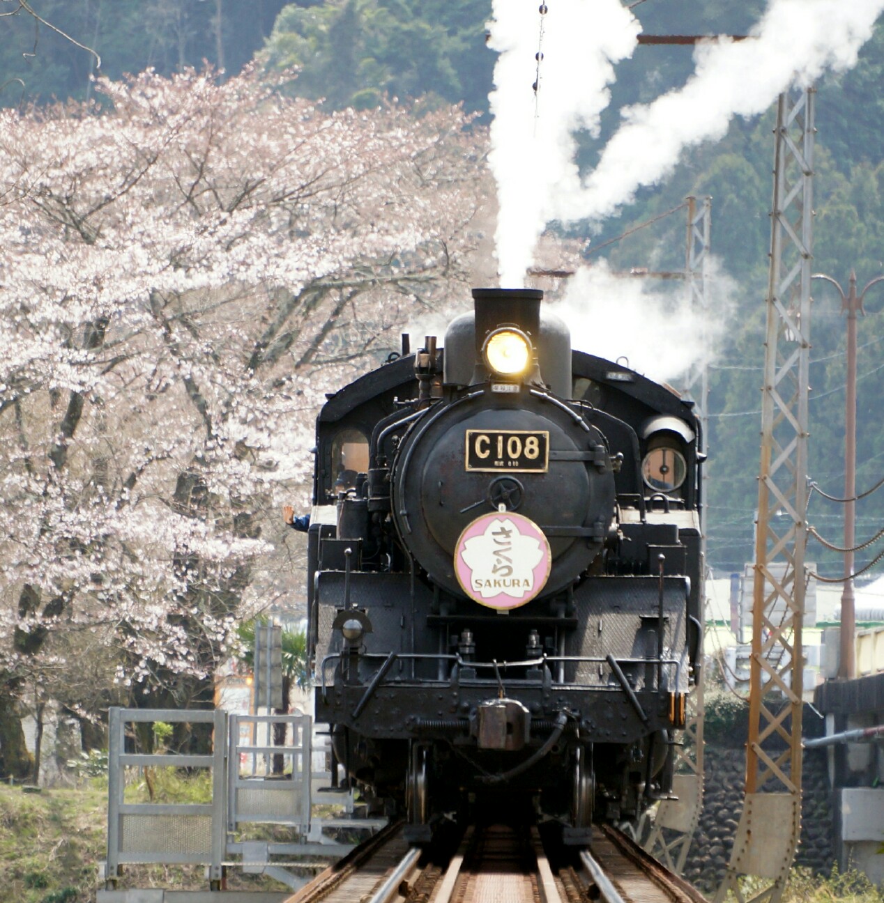 f:id:jal787ksk:20160331214125j:image f:id:jal787ksk:20160331214125j:image