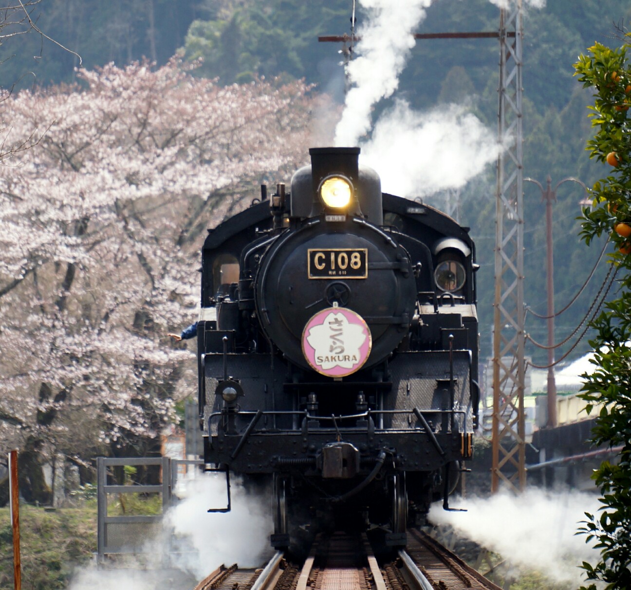 f:id:jal787ksk:20160331214152j:image f:id:jal787ksk:20160331214152j:image