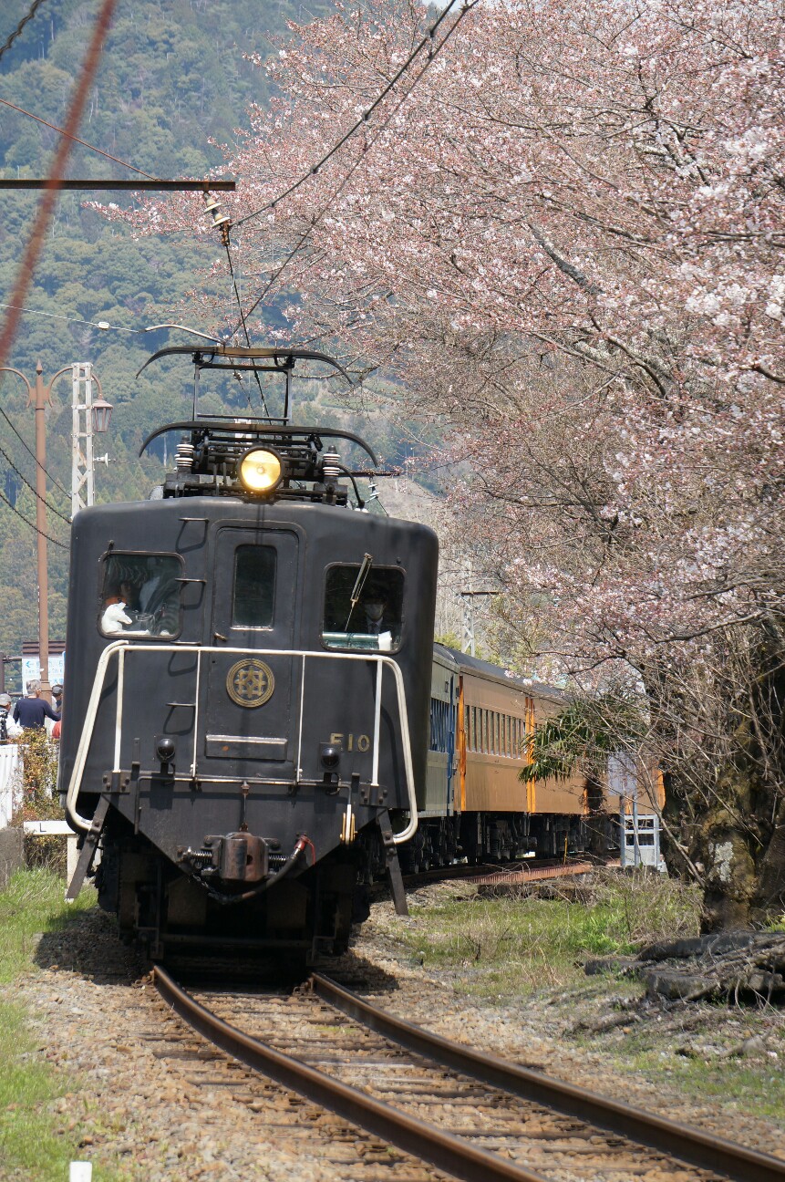 f:id:jal787ksk:20160331230442j:image f:id:jal787ksk:20160331230442j:image