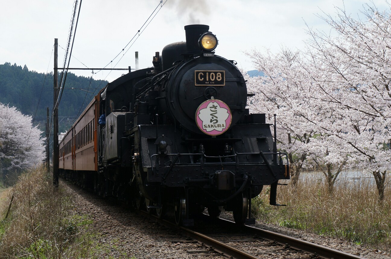 f:id:jal787ksk:20160406225046j:image f:id:jal787ksk:20160406225046j:image