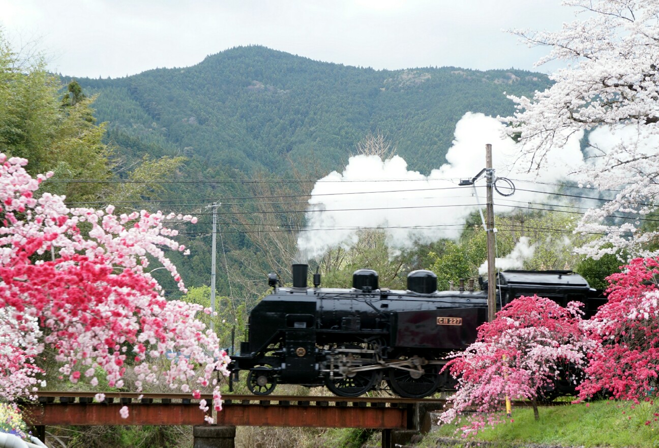 f:id:jal787ksk:20160406225120j:image f:id:jal787ksk:20160406225120j:image