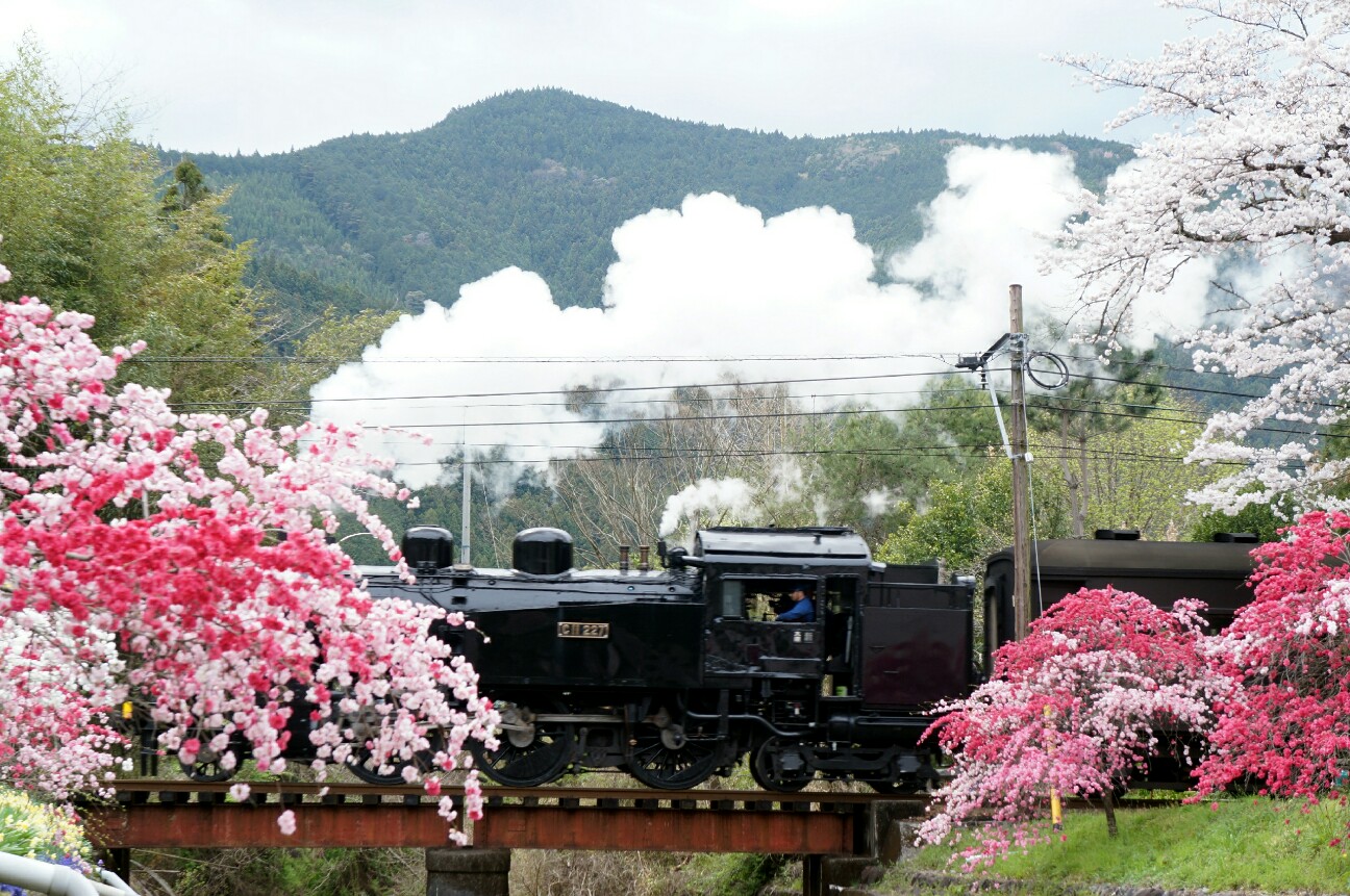 f:id:jal787ksk:20160406225136j:image f:id:jal787ksk:20160406225136j:image