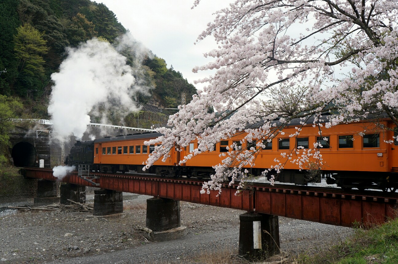 f:id:jal787ksk:20160406225201j:image f:id:jal787ksk:20160406225201j:image