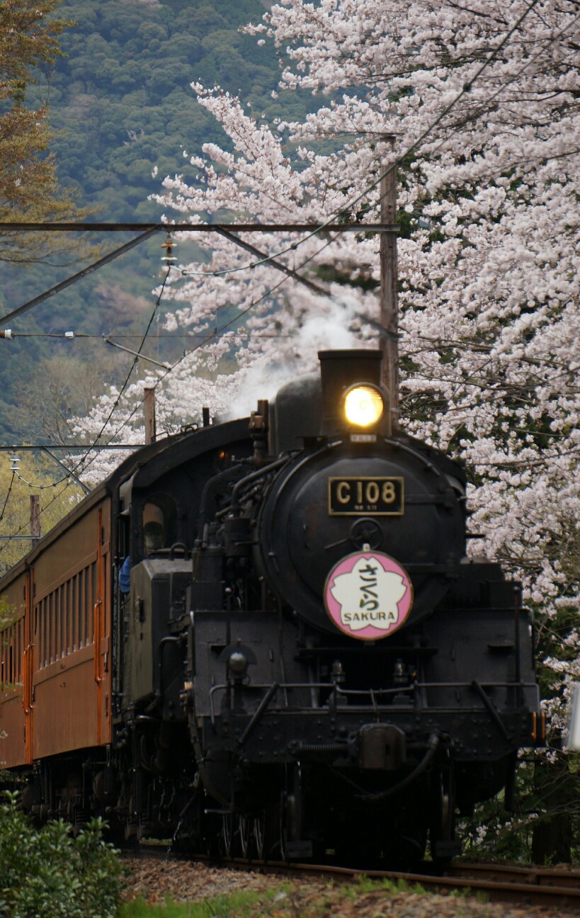 f:id:jal787ksk:20160406225227j:image f:id:jal787ksk:20160406225227j:image