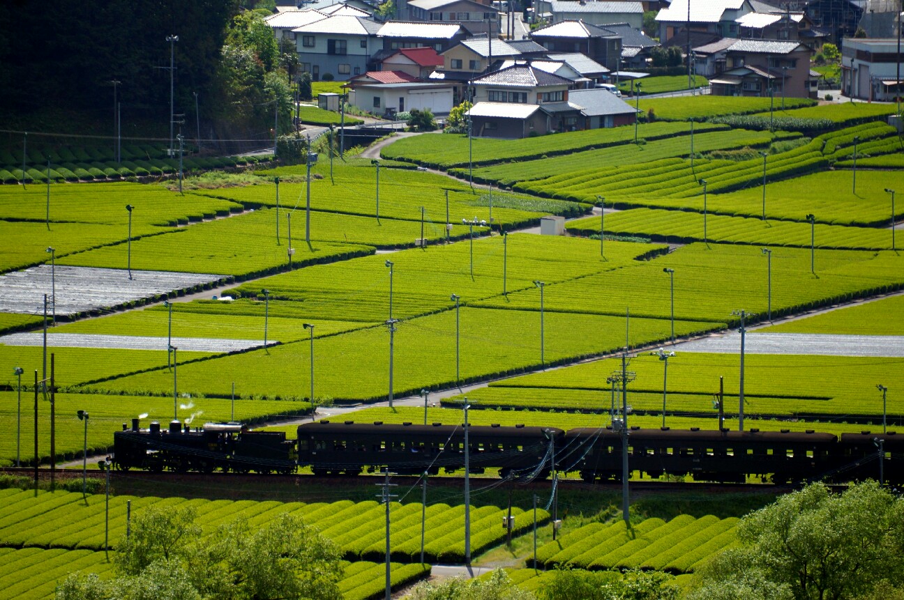 f:id:jal787ksk:20160430093130j:image f:id:jal787ksk:20160430093130j:image