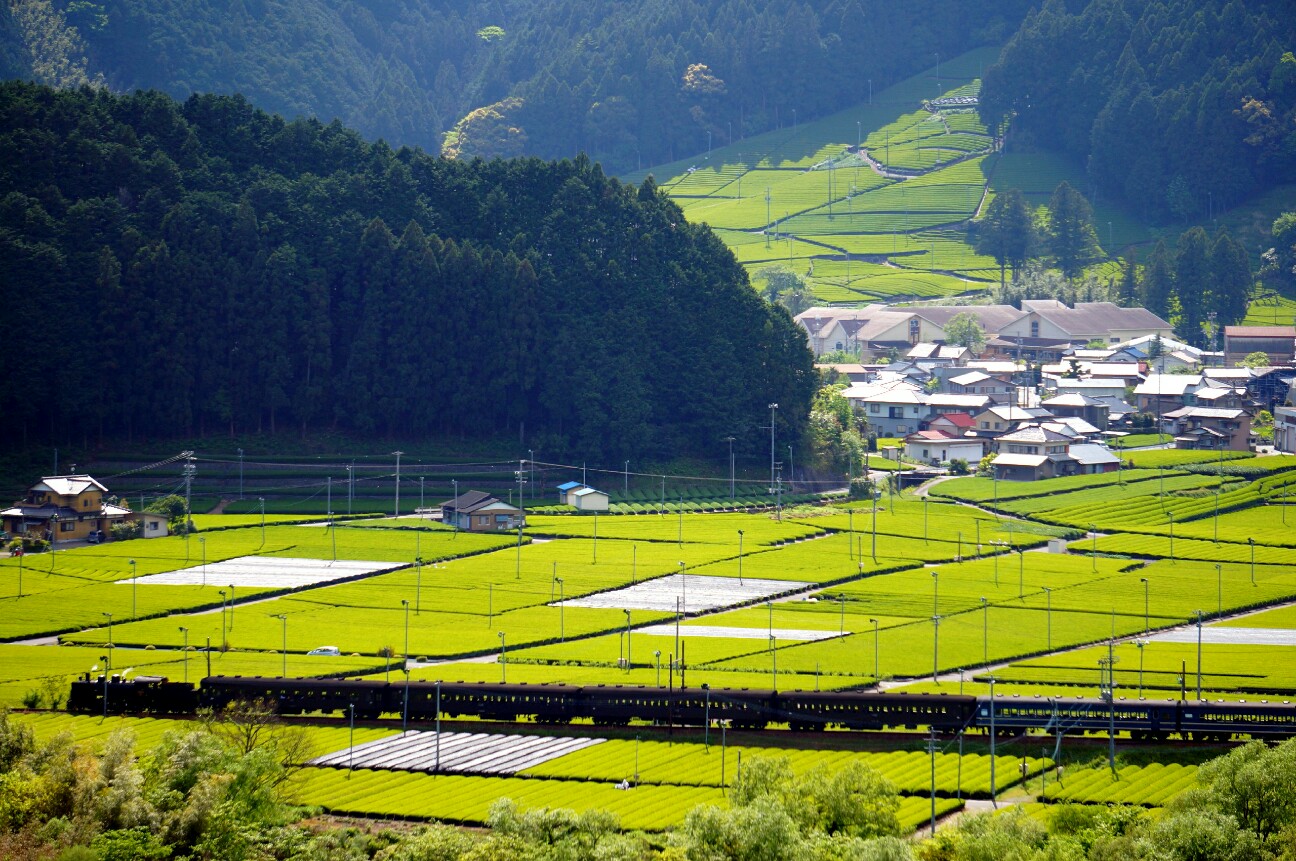 f:id:jal787ksk:20160430093140j:image f:id:jal787ksk:20160430093140j:image
