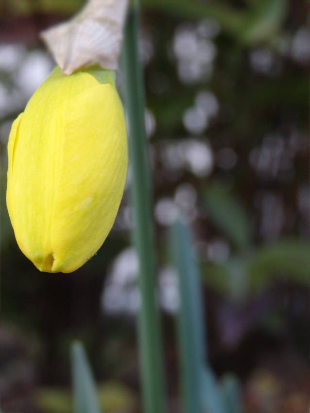 f:id:jammioe:20150309000254j:plain