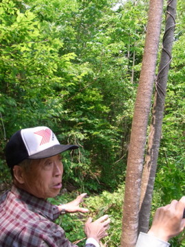 f:id:japanjoboji:20090526140741j:image:left f:id:japanjoboji:20090526140741j:image:left