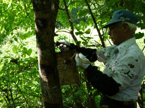 f:id:japanjoboji:20100807084534j:image f:id:japanjoboji:20100807084534j:image