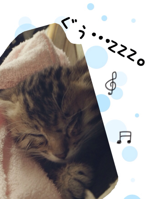 f:id:japanrescue1995:20130518134323j:plain f:id:japanrescue1995:20130518134323j:plain