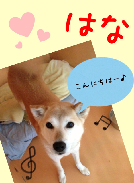 f:id:japanrescue1995:20130520134404j:plain