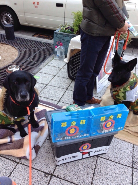 f:id:japanrescue1995:20140111190002j:plain f:id:japanrescue1995:20140111190002j:plain