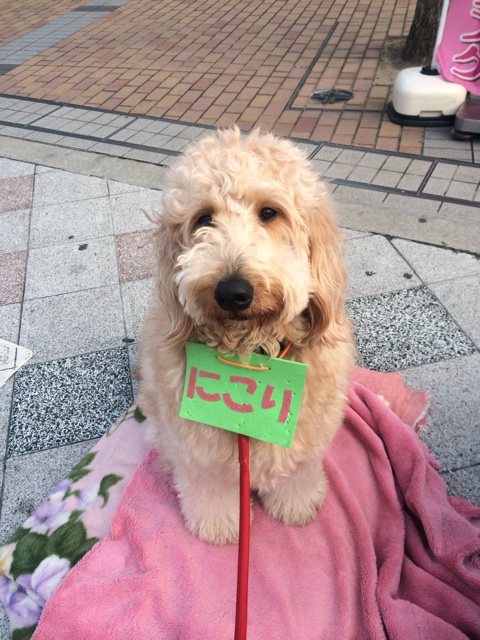 f:id:japanrescue1995:20140112184036j:plain f:id:japanrescue1995:20140112184036j:plain