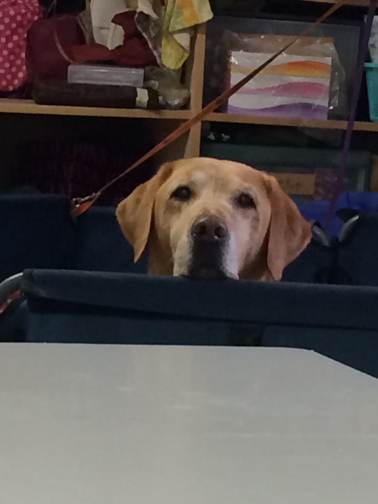 f:id:japanrescue1995:20150721190557j:image f:id:japanrescue1995:20150721190557j:image