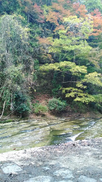f:id:javok:20151201143640j:image f:id:javok:20151201143640j:image