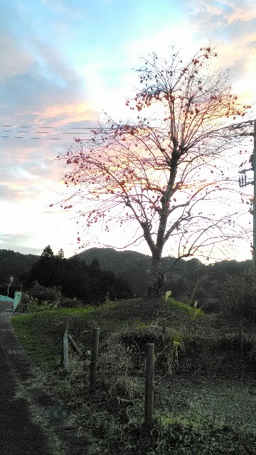 f:id:javok:20151203120717j:image f:id:javok:20151203120717j:image