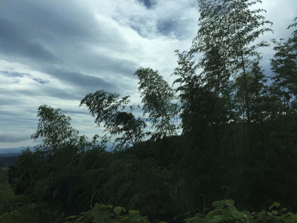 f:id:jazzpianotrio:20160630213806j:image f:id:jazzpianotrio:20160630213806j:image