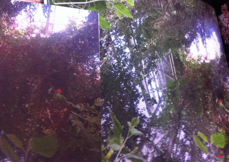 f:id:jeevas:20130319125609p:plain f:id:jeevas:20130319125609p:plain