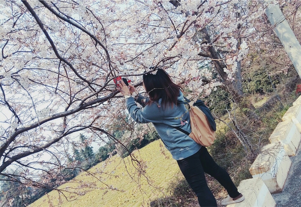 f:id:jejujp:20160330174208j:image f:id:jejujp:20160330174208j:image