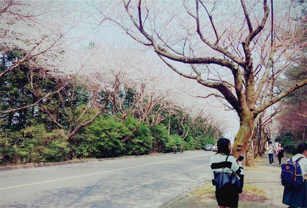 f:id:jejujp:20160330174901j:image f:id:jejujp:20160330174901j:image