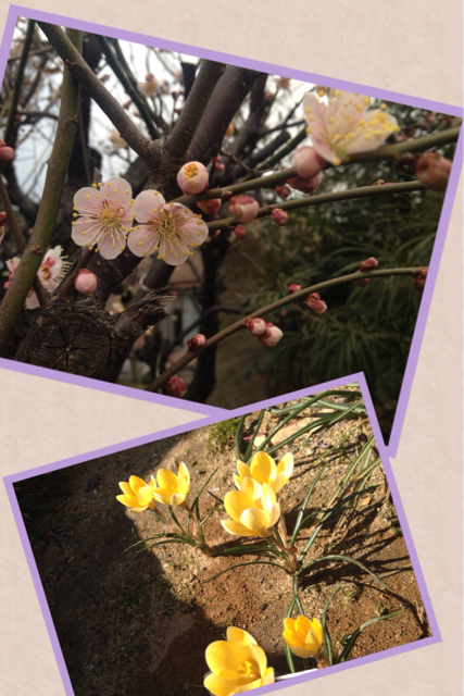 f:id:jen615:20130317101114j:plain f:id:jen615:20130317101114j:plain