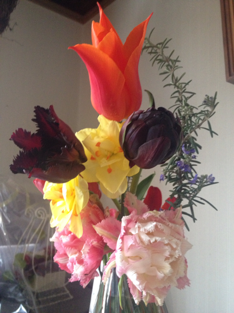 f:id:jen615:20130426143548j:plain