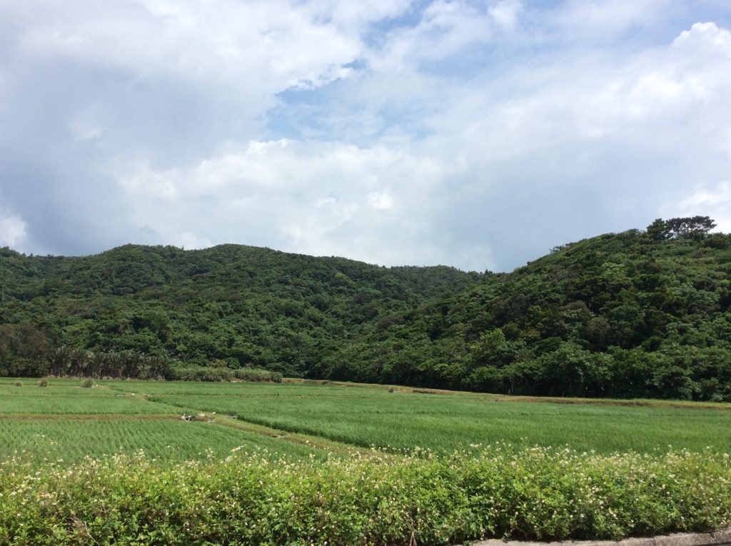 f:id:jijikolikuonomorinoseikatu:20160612224405j:plain f:id:jijikolikuonomorinoseikatu:20160612224405j:plain