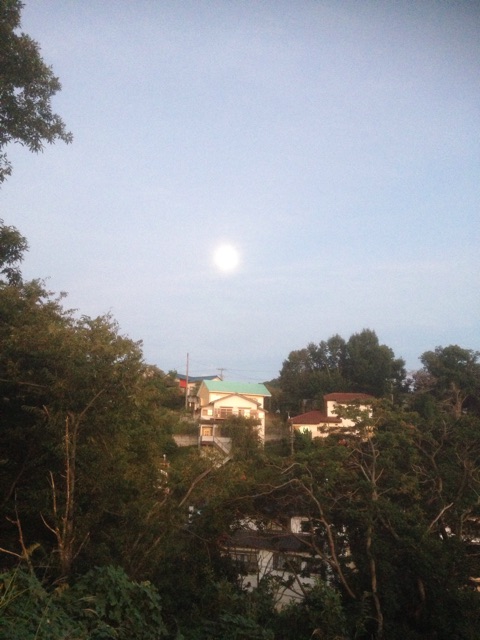f:id:jijiro:20141009080731j:plain f:id:jijiro:20141009080731j:plain