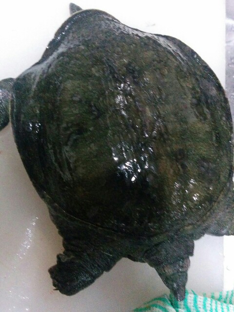 f:id:jikaseimenkirinji:20151218204923j:image f:id:jikaseimenkirinji:20151218204923j:image