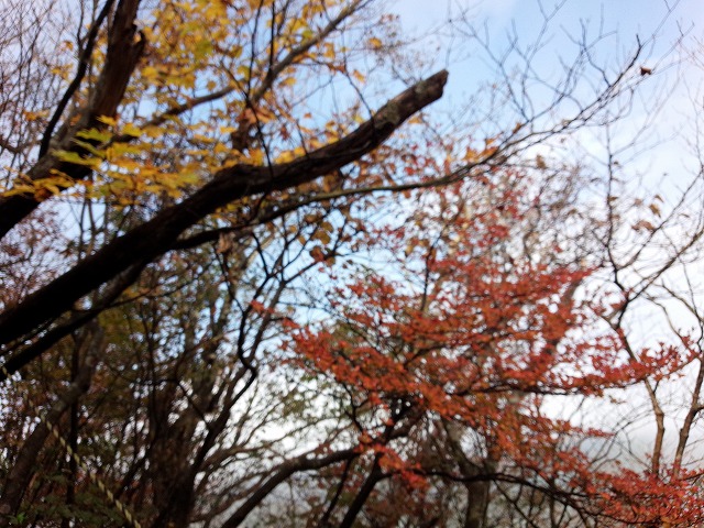 f:id:jimny1210:20141026192741j:plain f:id:jimny1210:20141026192741j:plain