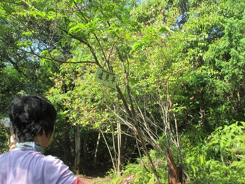 f:id:jimny1210:20150506224609j:plain f:id:jimny1210:20150506224609j:plain