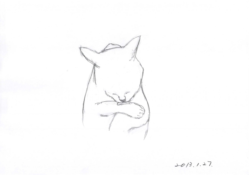 f:id:jinnseiiroiro:20130128204300j:plain f:id:jinnseiiroiro:20130128204300j:plain