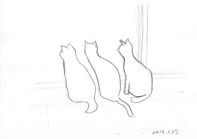 f:id:jinnseiiroiro:20130128204314j:plain f:id:jinnseiiroiro:20130128204314j:plain