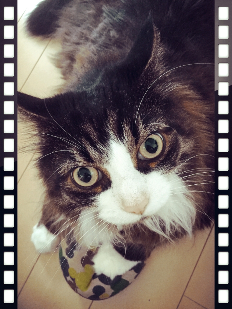 f:id:jiuramsey:20150706132118j:plain f:id:jiuramsey:20150706132118j:plain