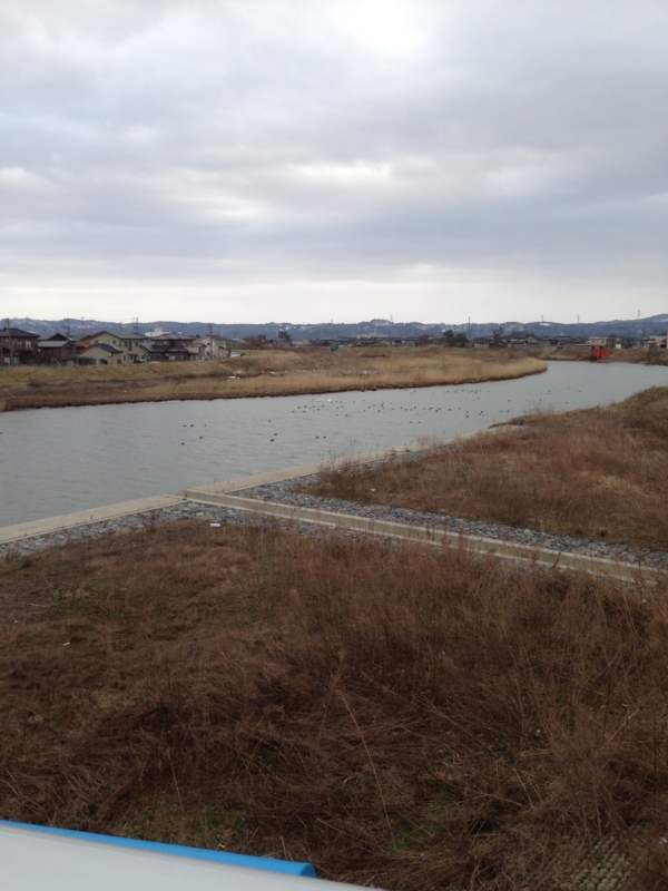 f:id:jivejp:20150205102801j:plain