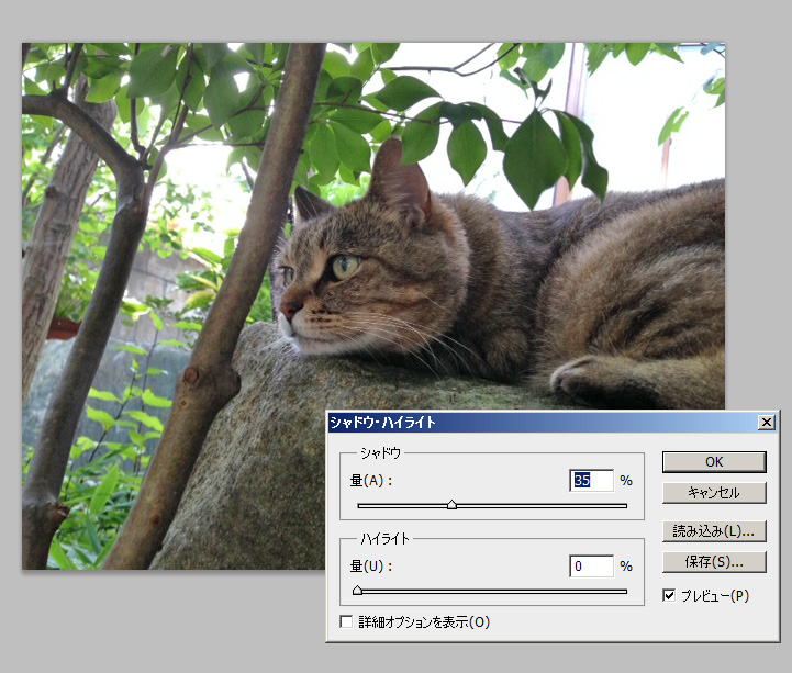 f:id:jivejp:20150508133618j:plain