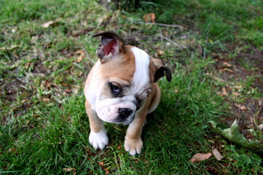 f:id:jivejp:20150805160330j:plain