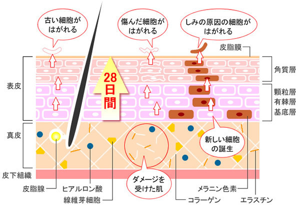 f:id:jjsdkjsd:20160301170041j:plain f:id:jjsdkjsd:20160301170041j:plain