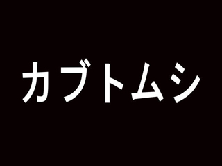 f:id:jjyy:20151104113538j:plain