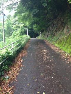 f:id:jmaniax:20130721123722j:plain f:id:jmaniax:20130721123722j:plain