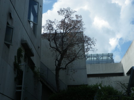 f:id:joe-yan:20120917143155j:plain f:id:joe-yan:20120917143155j:plain