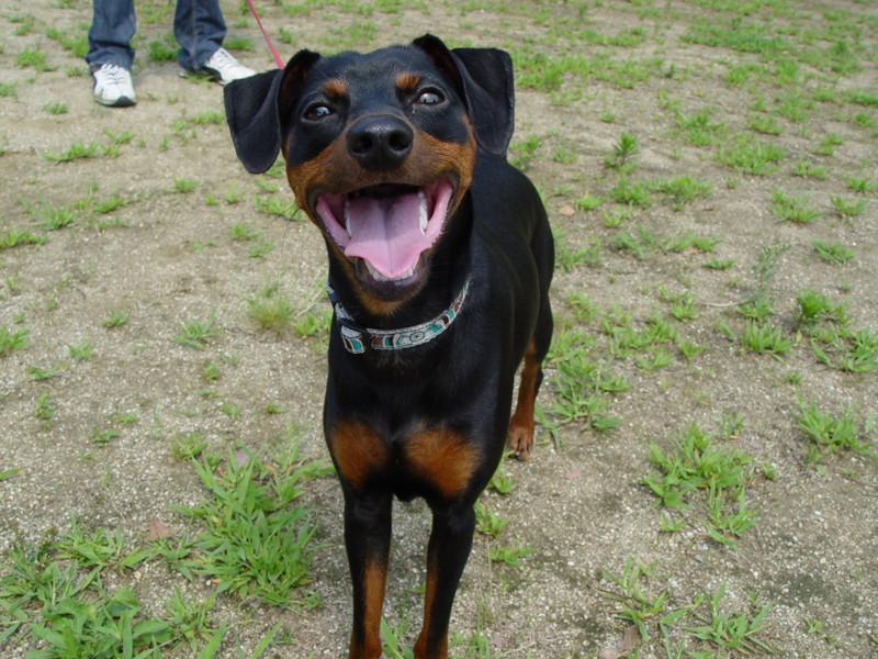 f:id:joju8:20090625094129j:image:w500